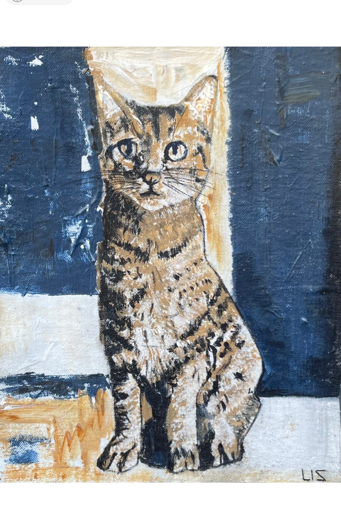 Kitty